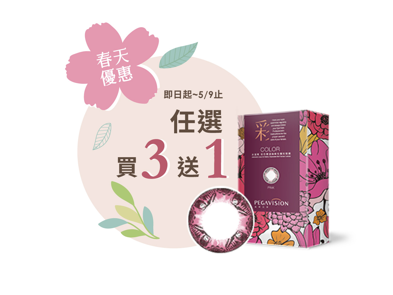 彩色雙週拋迷蝶粉2片裝