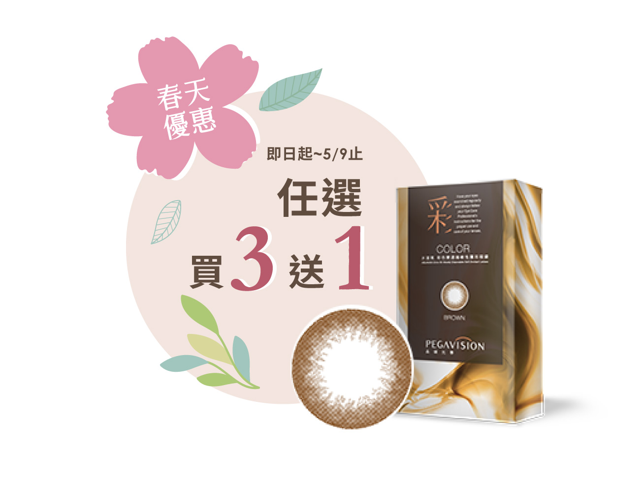 彩色雙週拋迷霧棕2片裝